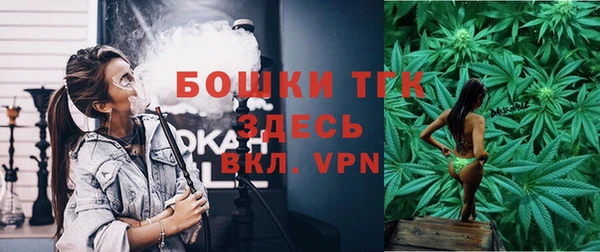 ПСИЛОЦИБИНОВЫЕ ГРИБЫ Балахна