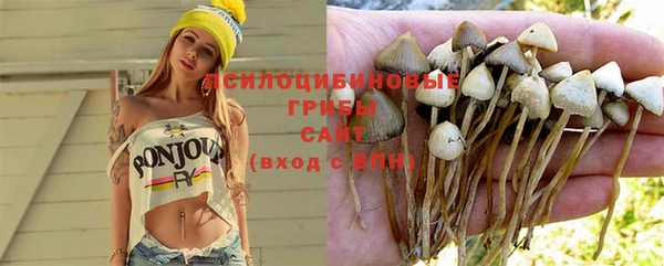 Альфа ПВП Баксан